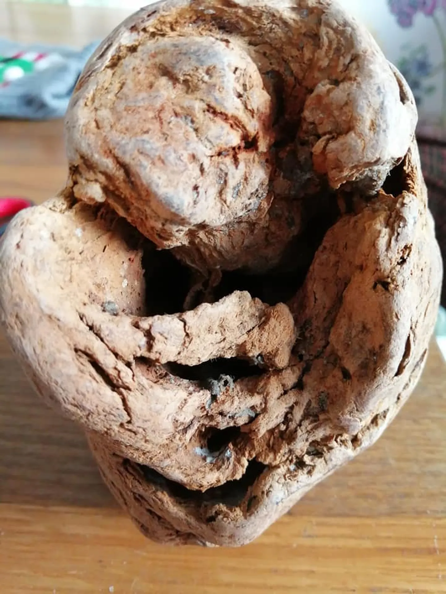 Viltus "fosīlija".