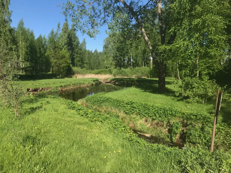 Oja järgmisel päeval