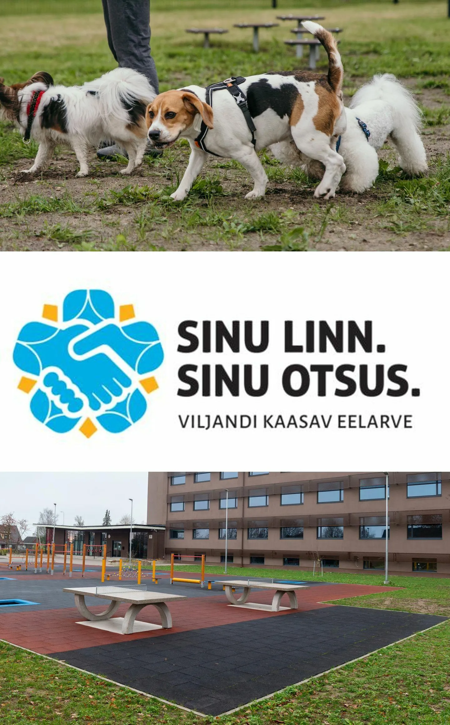 Viljandi kaasava eelarve hääletuse lõpuspurdis peab selguma, kas linlased eelistavad koerteparki või mänguväljakut.