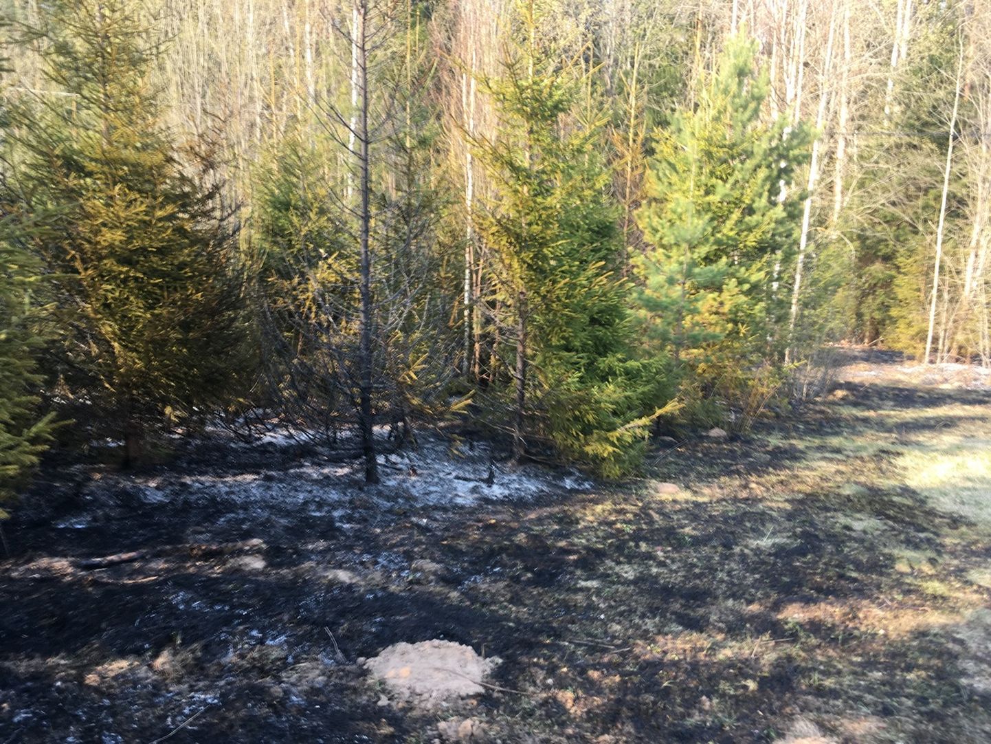 24. aprillil puhkes põleng Kanepi vallas Jõgehara külas.