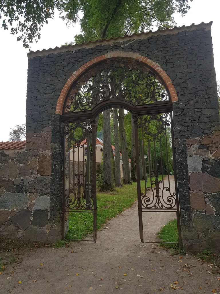 Фото статьи