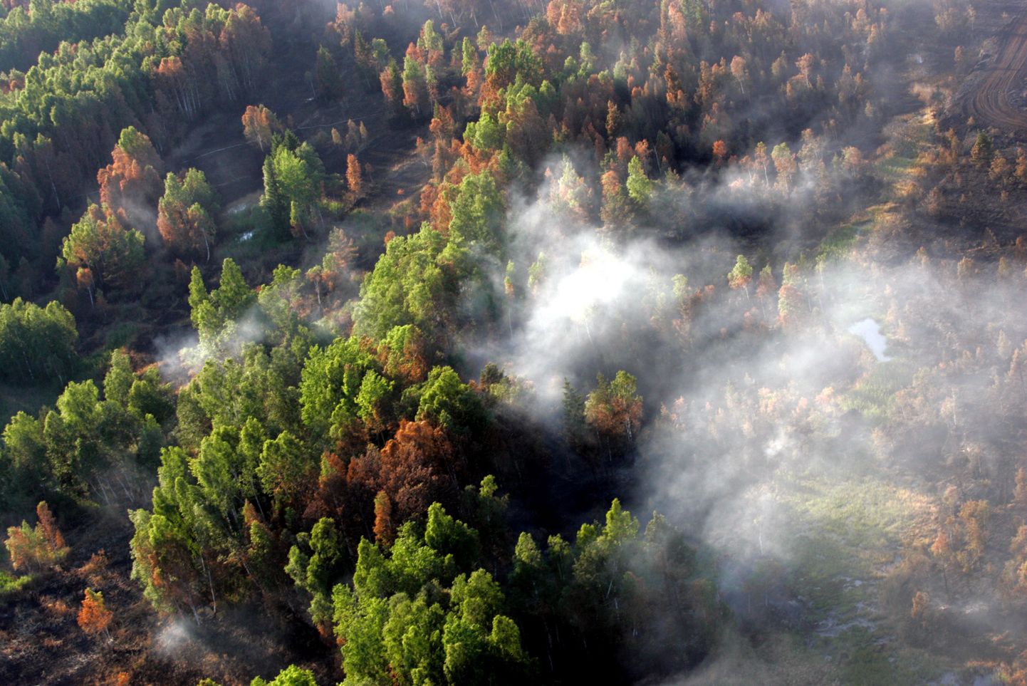 Palju aega, vaeva ja raha nõuavad näiteks metsapõlengute kustutamised.