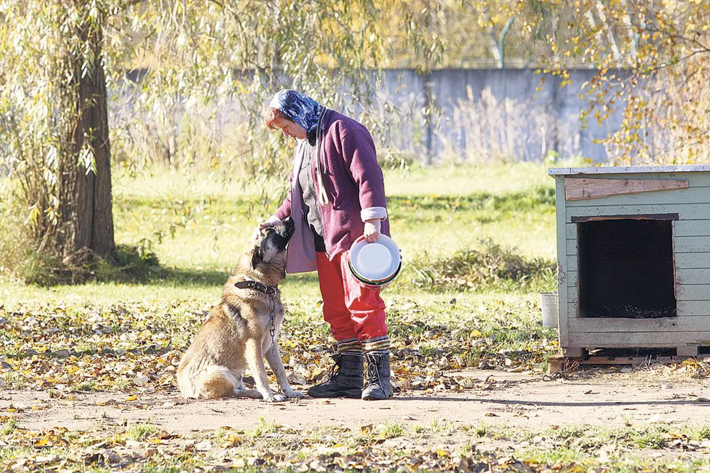 Tartu koduta loomade varjupaigas elav Funnyboy on koeratalitaja Tamara Nadežkinaga hea sõber. Kutsikana varjupaika sattunud Funnyboy teiste inimestega nii hea sõber pole ja sellepärast õiendas ta ka varjupaigale annetustšeki toonud inimestega üsna kõva häälega.