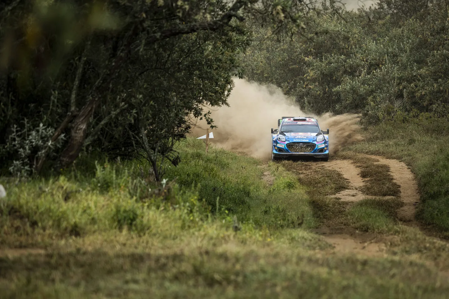 Tänak Keenia rallil