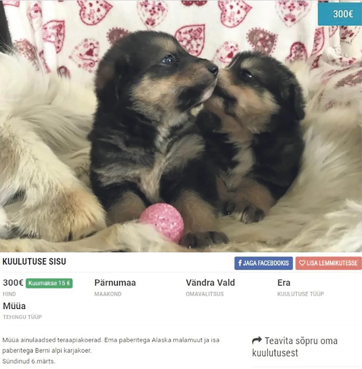 Soov.ee keskkonnas leiduvas kuulutuses seisab, et ainulaadsed teraapiakoerad on sündinud märtsikuu alguses. Tegelikult saab looma sobilikkust teraapiakoeraks hinnata Eesti abi- ja teraapiakoerte ühingu kinnitusel alles siis, kui ta täiskasvanuikka jõuab.