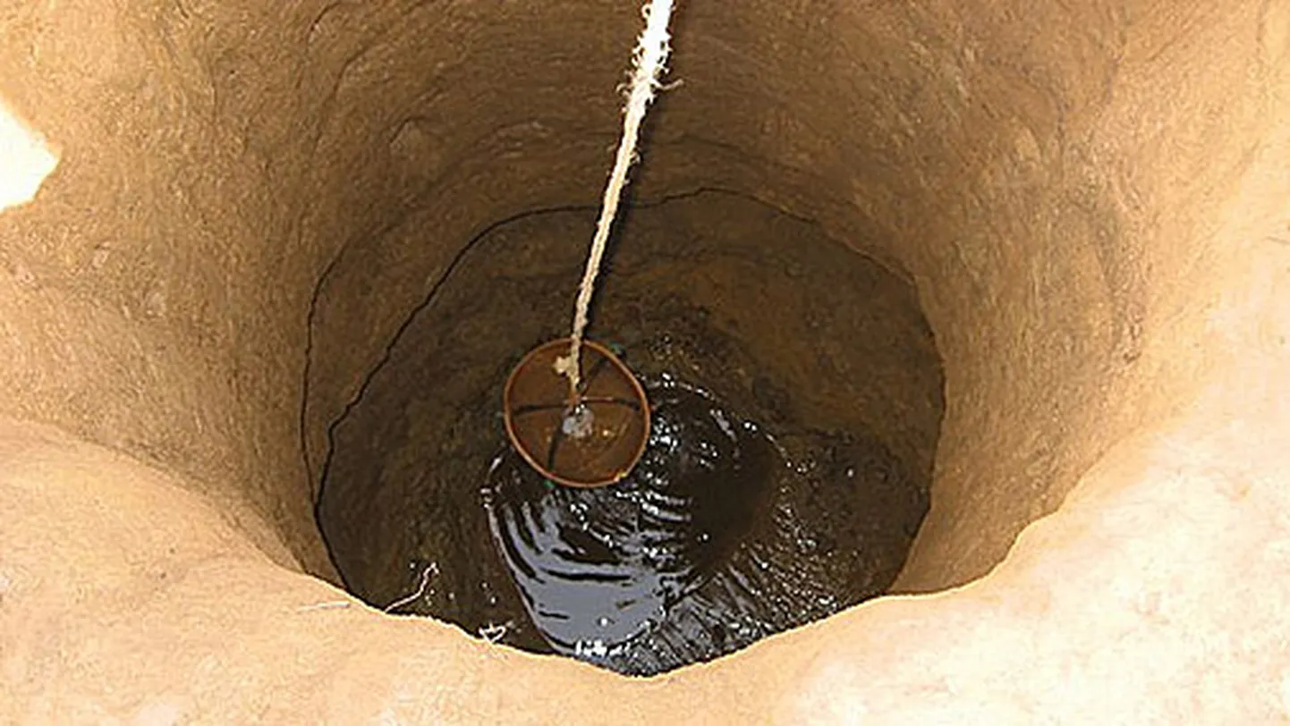 Инклюз смола янтарь. Колодец в пустыне. Копал внутри. Инклюзы янтарь животные. Копал внутри.