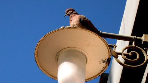 Elektri hind kargab täna enam kui kahekordseks