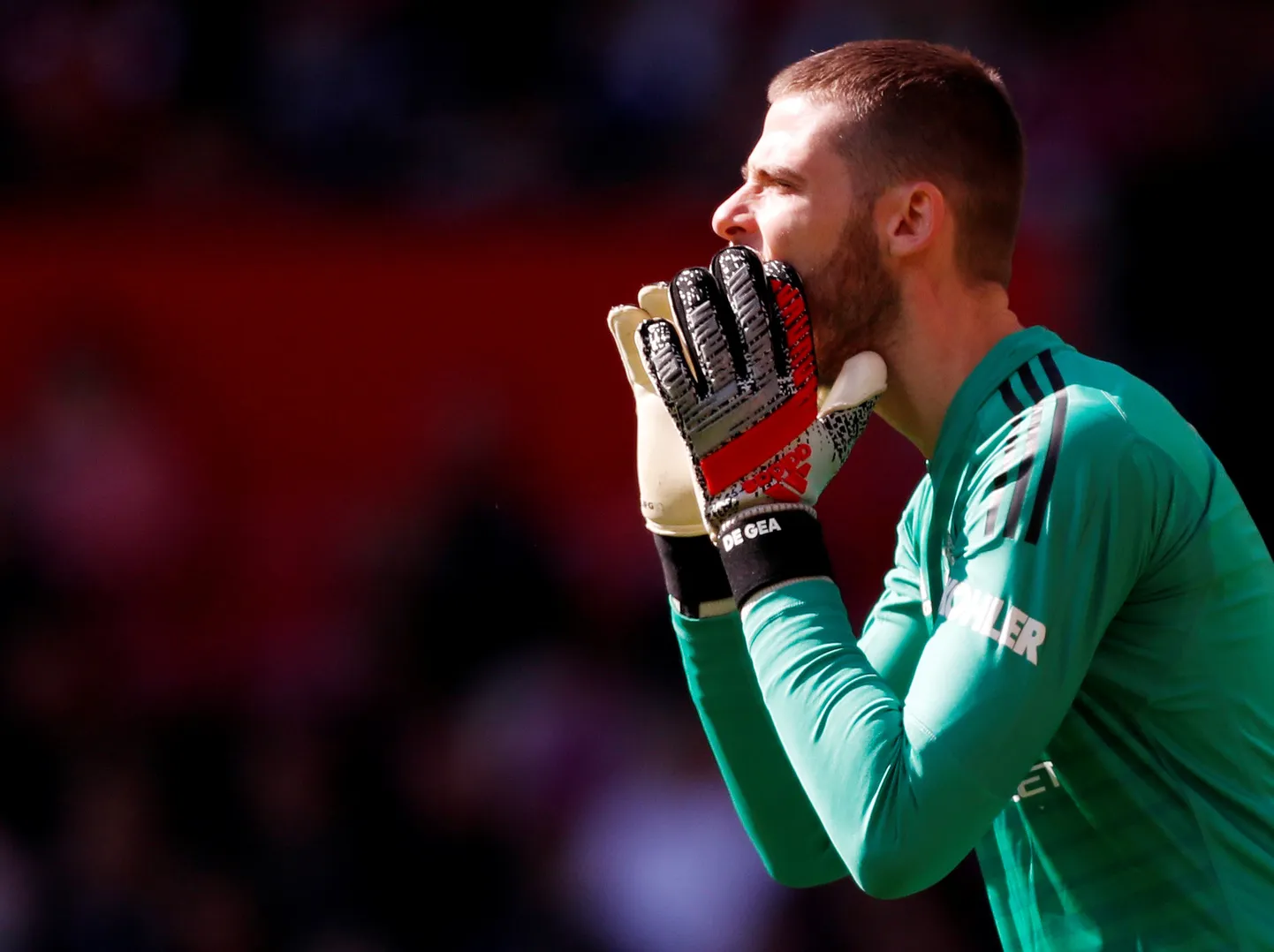 David de Gea.