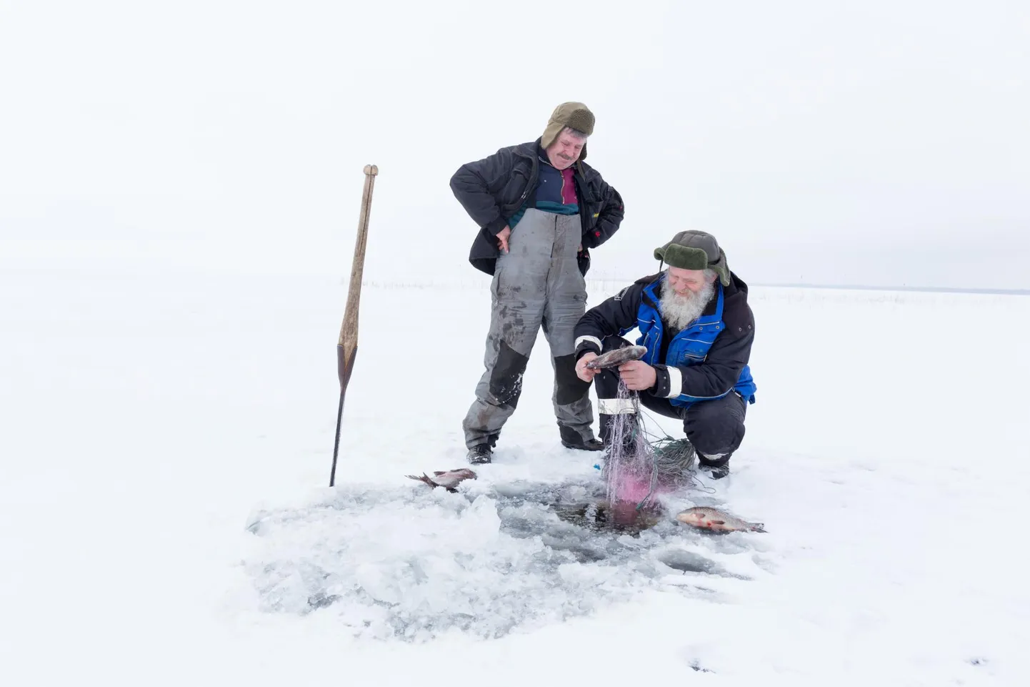 Võrtsjärve kalurid Ants Leiaru (habemega) ja Marko Vaher on tänavu talvel saanud rõõmustavalt palju teha jääalust püüki.