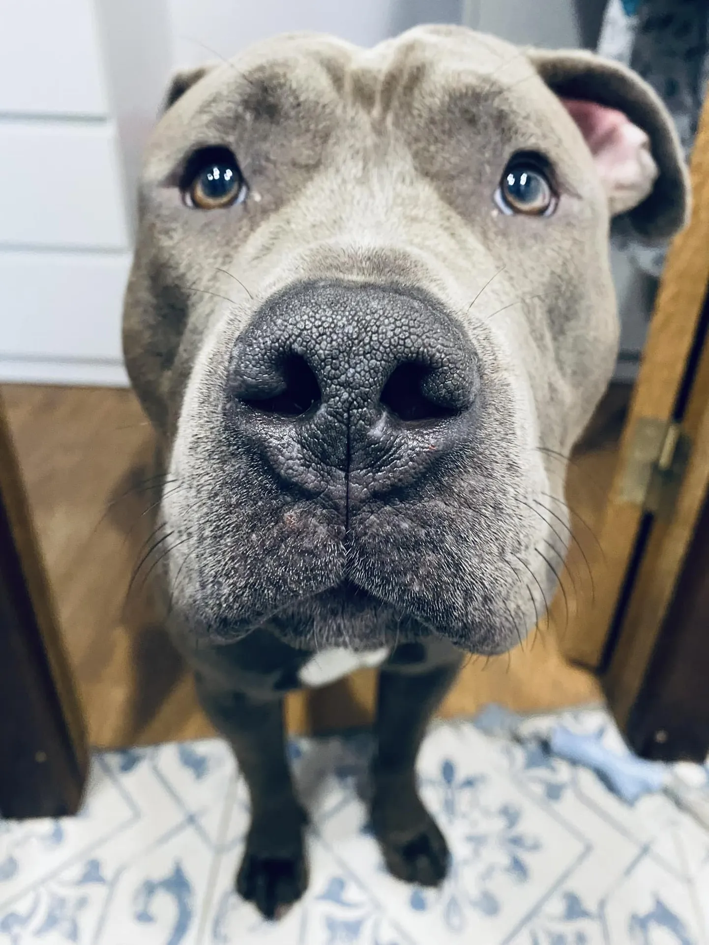 Raksta foto