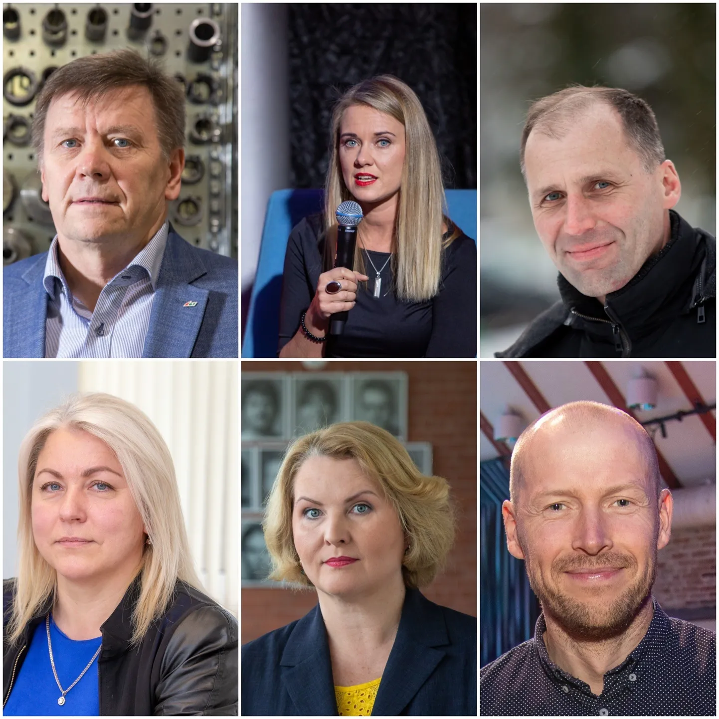 Leho Haldna, Hanna Jõgi, Vahur Roosaar, Marge Laiõunpuu, Garmen Tabor, Tarmo Noormaa