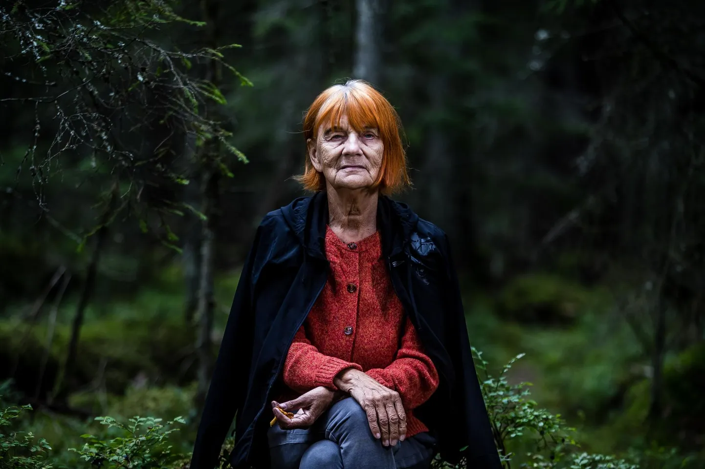 Legendaarne kuraator Eha Komissarov Käsmu metsas.