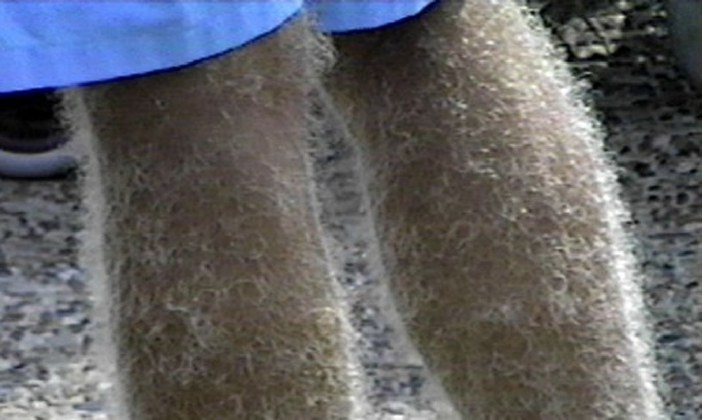 сонник волосатые ноги своими фото 112
