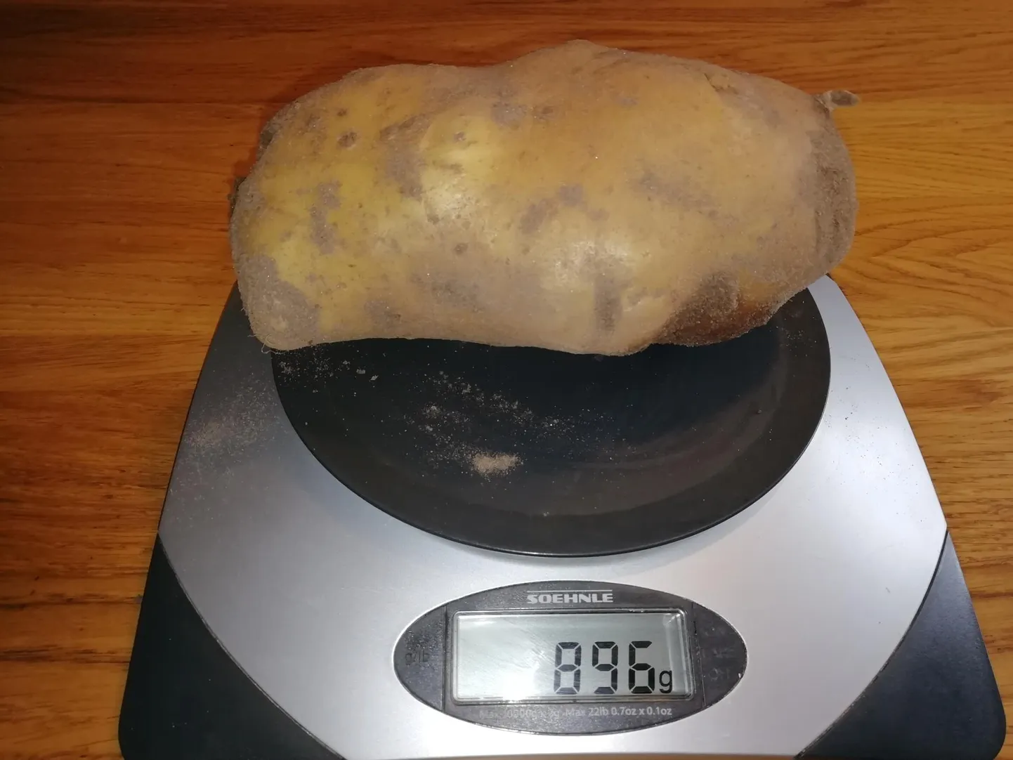 Heiki Leesiku kartul kaalus pea 900 grammi.