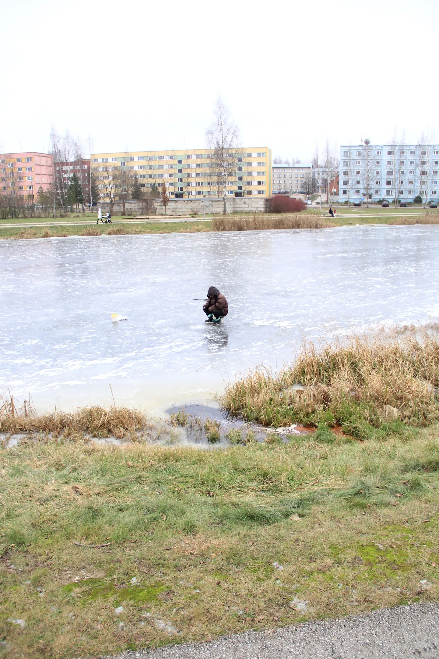 Kalamees Pedelil