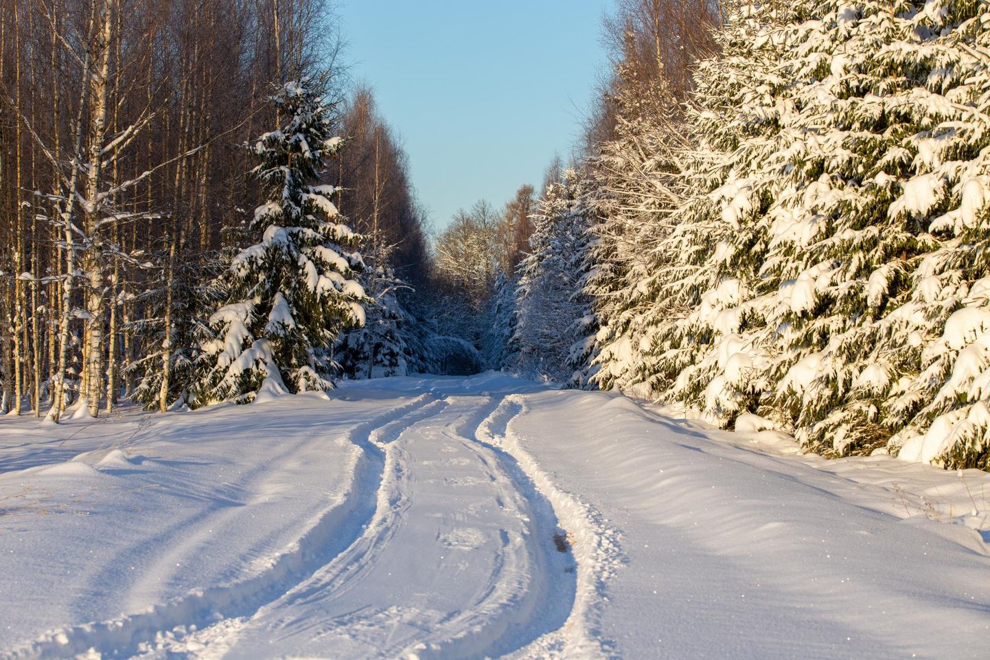 Зима в Эстонии.