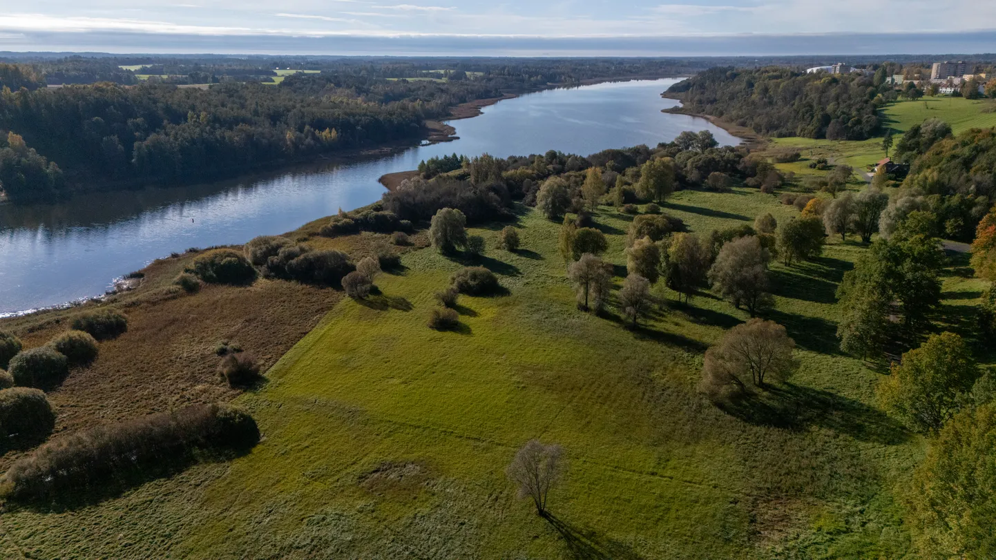 Viljandi linnajuhtides on tekitanud suurt vastuseisu muinsuskaitseameti kava võtta muinsuskaitse alla Ranna puiestee ja järve vahele jääv luht.