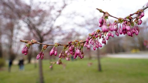 ГЛАВНОЕ ЗА 23 АПРЕЛЯ ⟩ Что ждет нас на пенсии, возможное возвращение России на саммит G20 и обвинения в расизме на Riga Fashion Week