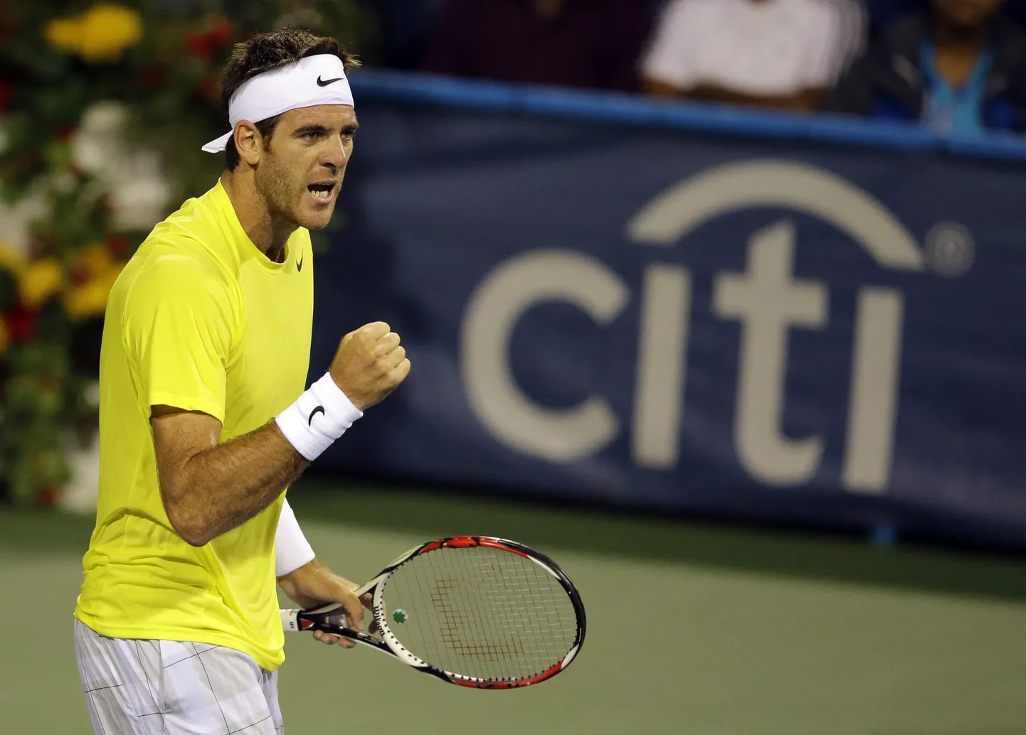 Juan Martin del Potro.