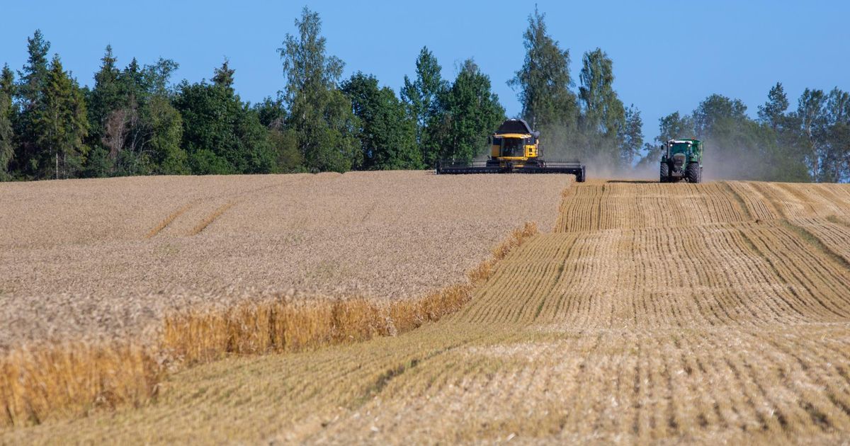 Noored ettevõtjad saavad toetust taotleda