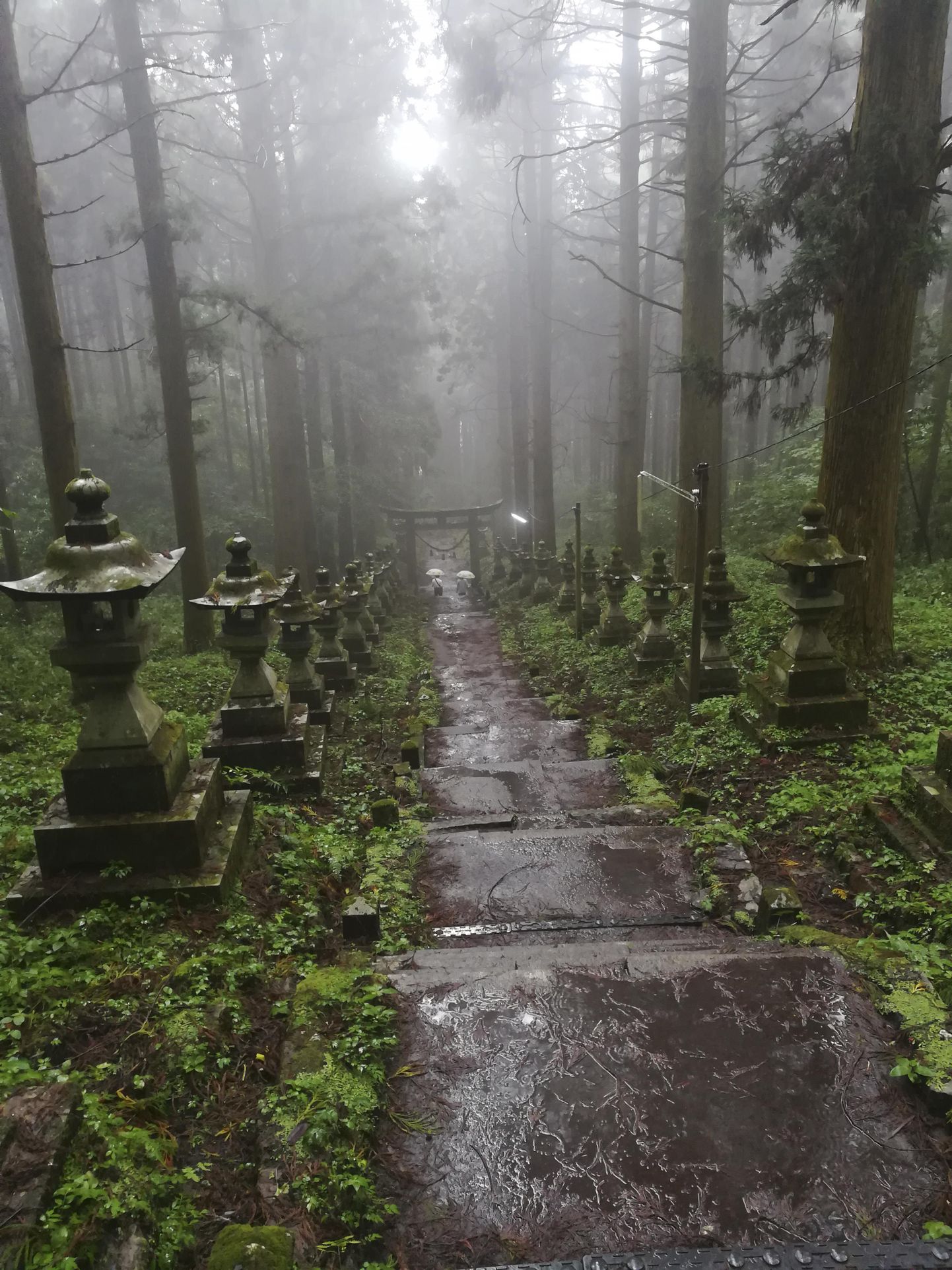 Kumamoto prefektuuris asuva Kumanoimasu templimetsa müstiline aura haarab jäägitult endasse. Just sellest paigast on inspiratsiooni saanud režissöör Takahiro Omori 2011. aastal valminud animefilm «Hotarubi no Mori».