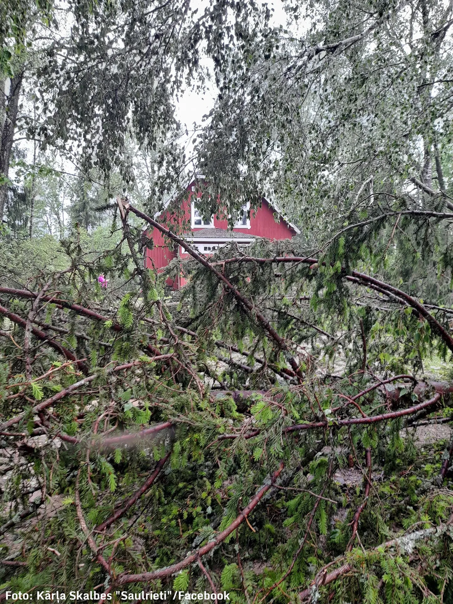 Raksta foto