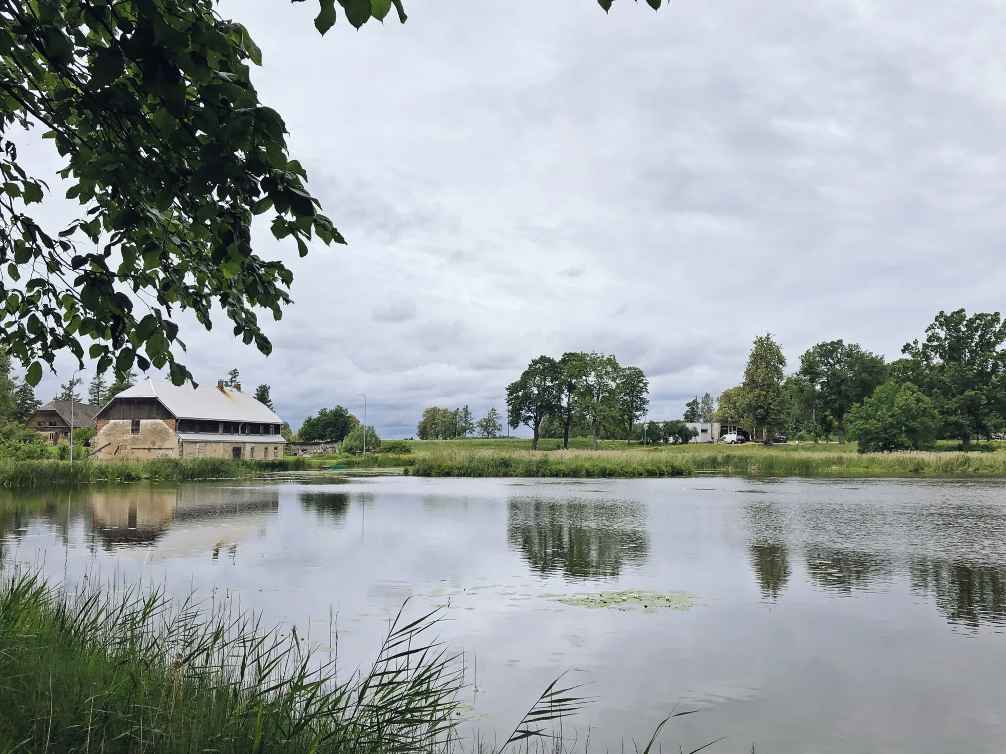 Raksta foto