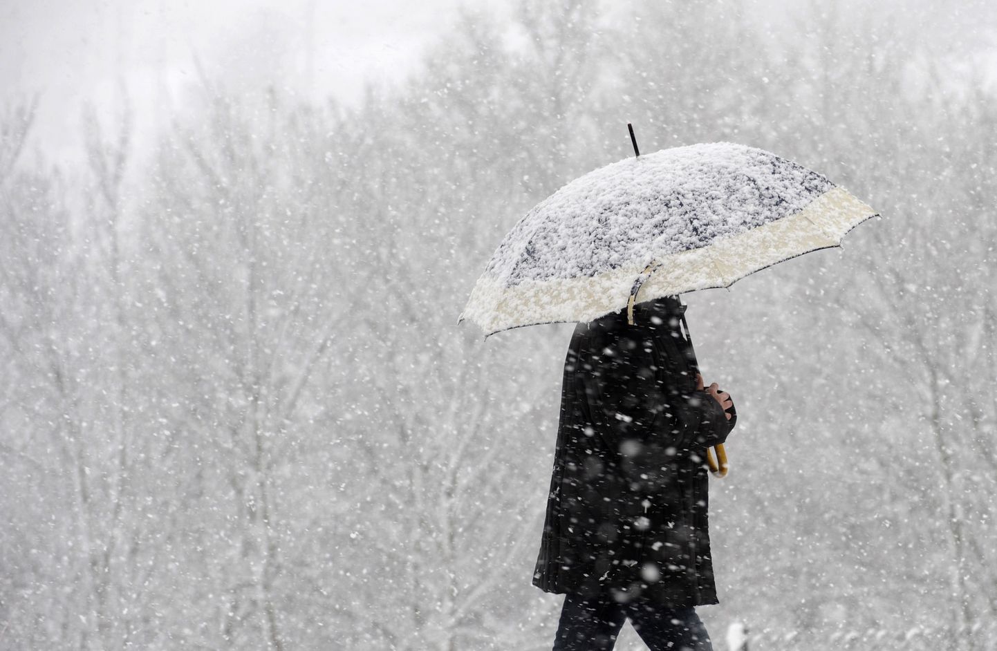 Meteoroloogid lubavad Põhja-Soome lund