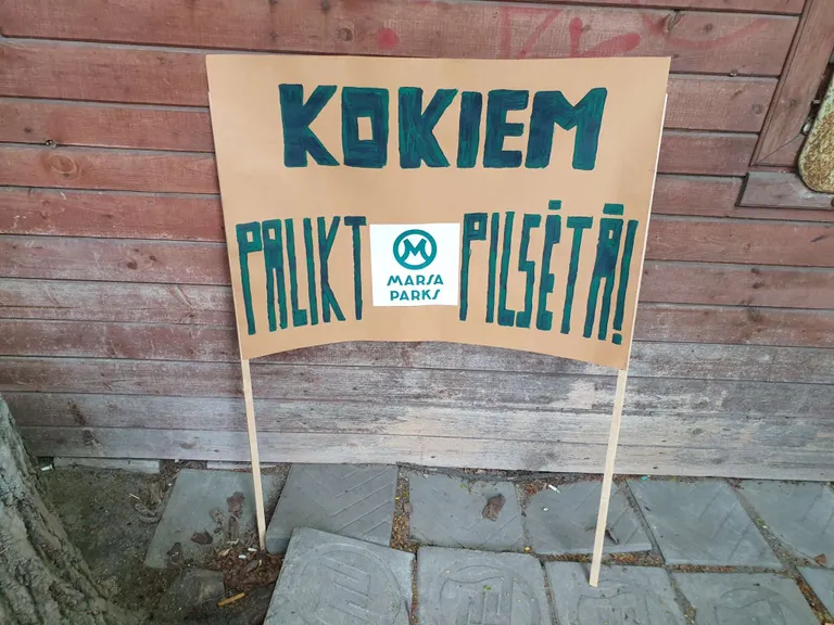Raksta foto