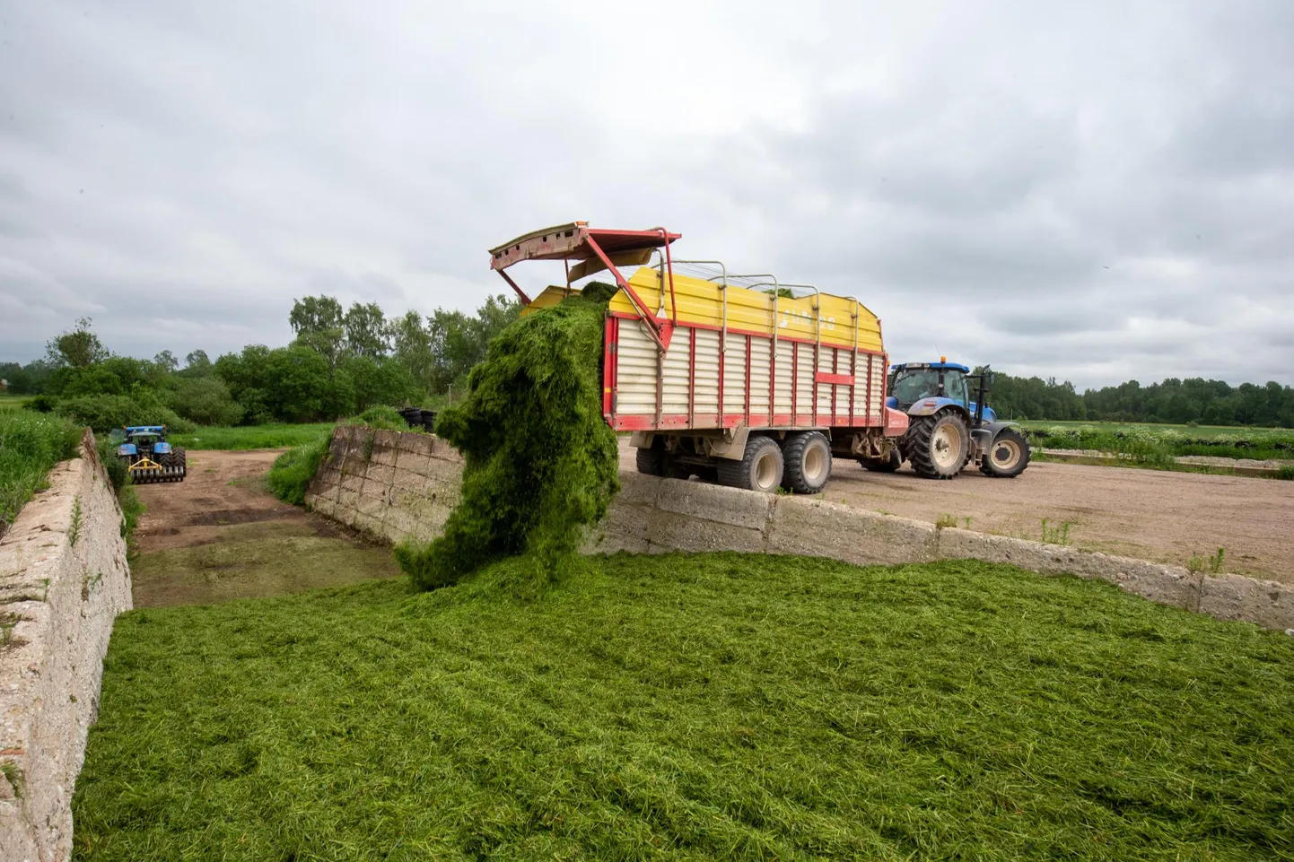 Hea silo tegemisel on vaja paljude asjadega arvestada, üks tähtsam neist on jõuda silo augus kinni tallata.