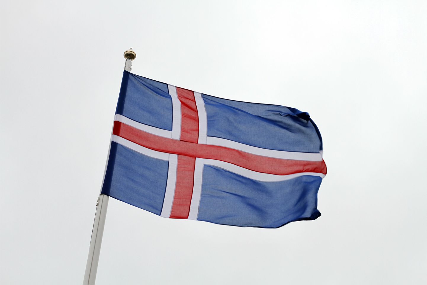 Islandi lipp