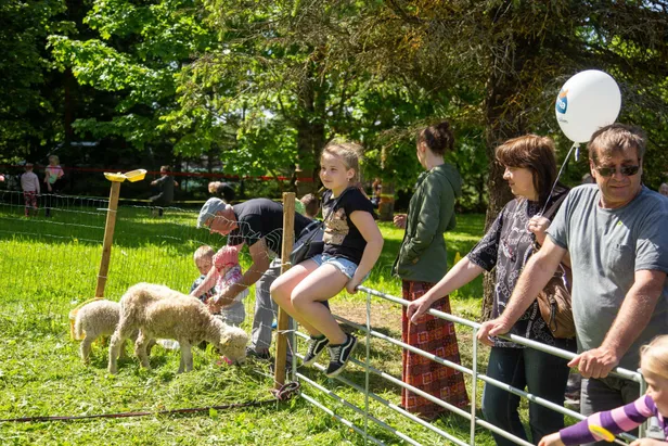 Piimapäeval püüdsid pilke grilljuustud