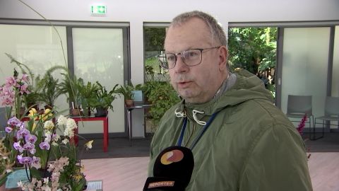 VIDEO ⟩ Botaanik Urmas Laansoo oma kogumishobist: enne ostmist vaatan kujunduse botaanilisi tunnuseid