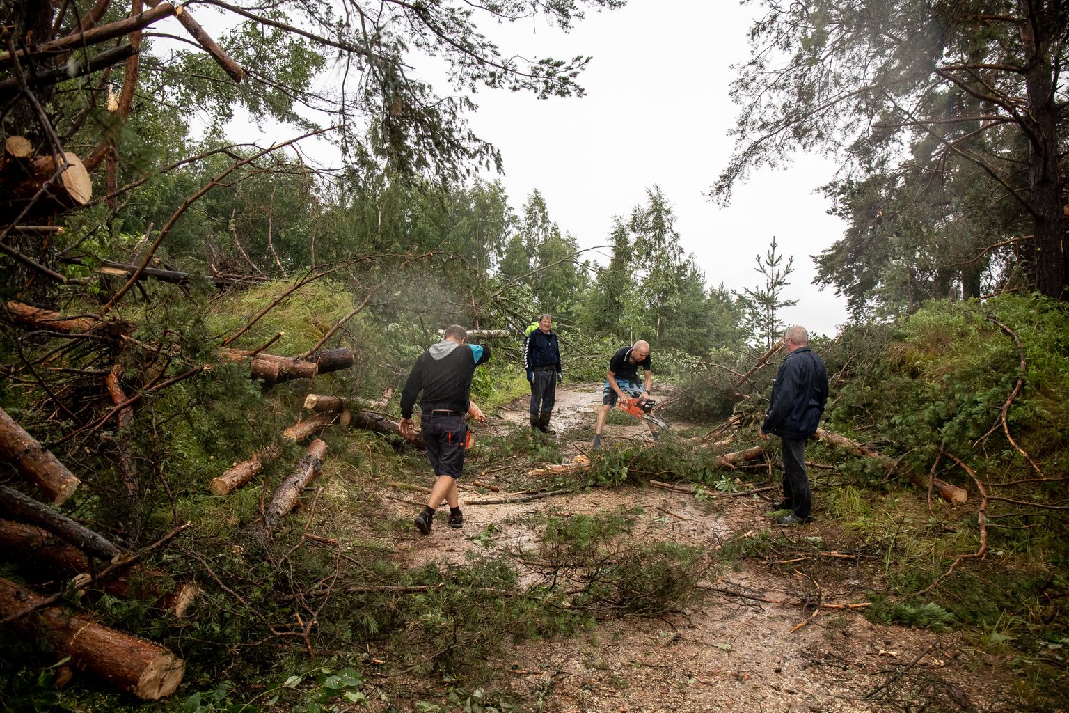 Teisipäeval Paali külas Tartumaal kruusateele kukkunud puud. Vähem kui kilomeetri kaugusel asub Rally Estonial reedel sõidetava Raanitsa kiiruskatse start, kus sai marutuult omal nahal tunda Hyundai ilmaennustaja Hannes Tõnisson.