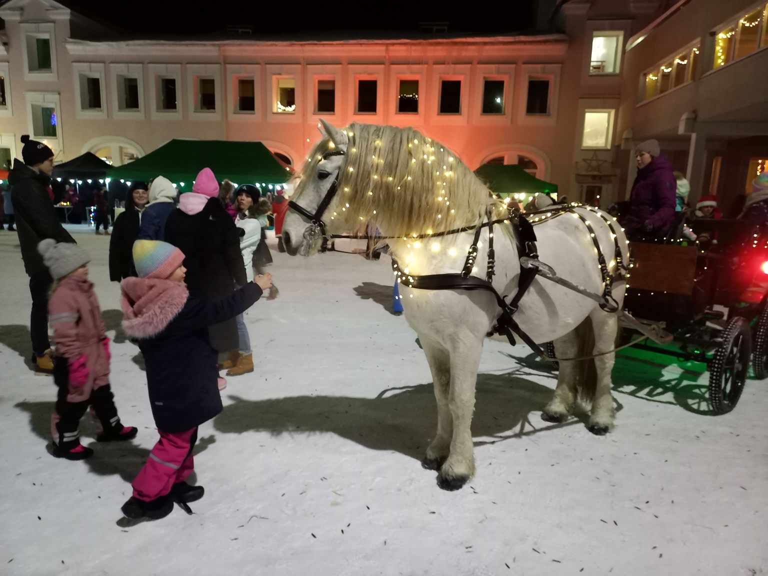 Päite loomapark korraldas jõululaadal saanisõitu.