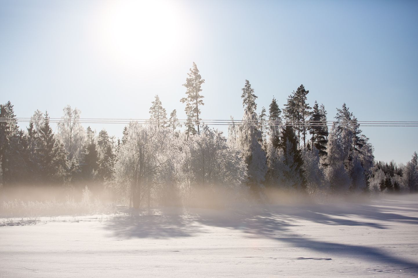 Talv Järvamaal