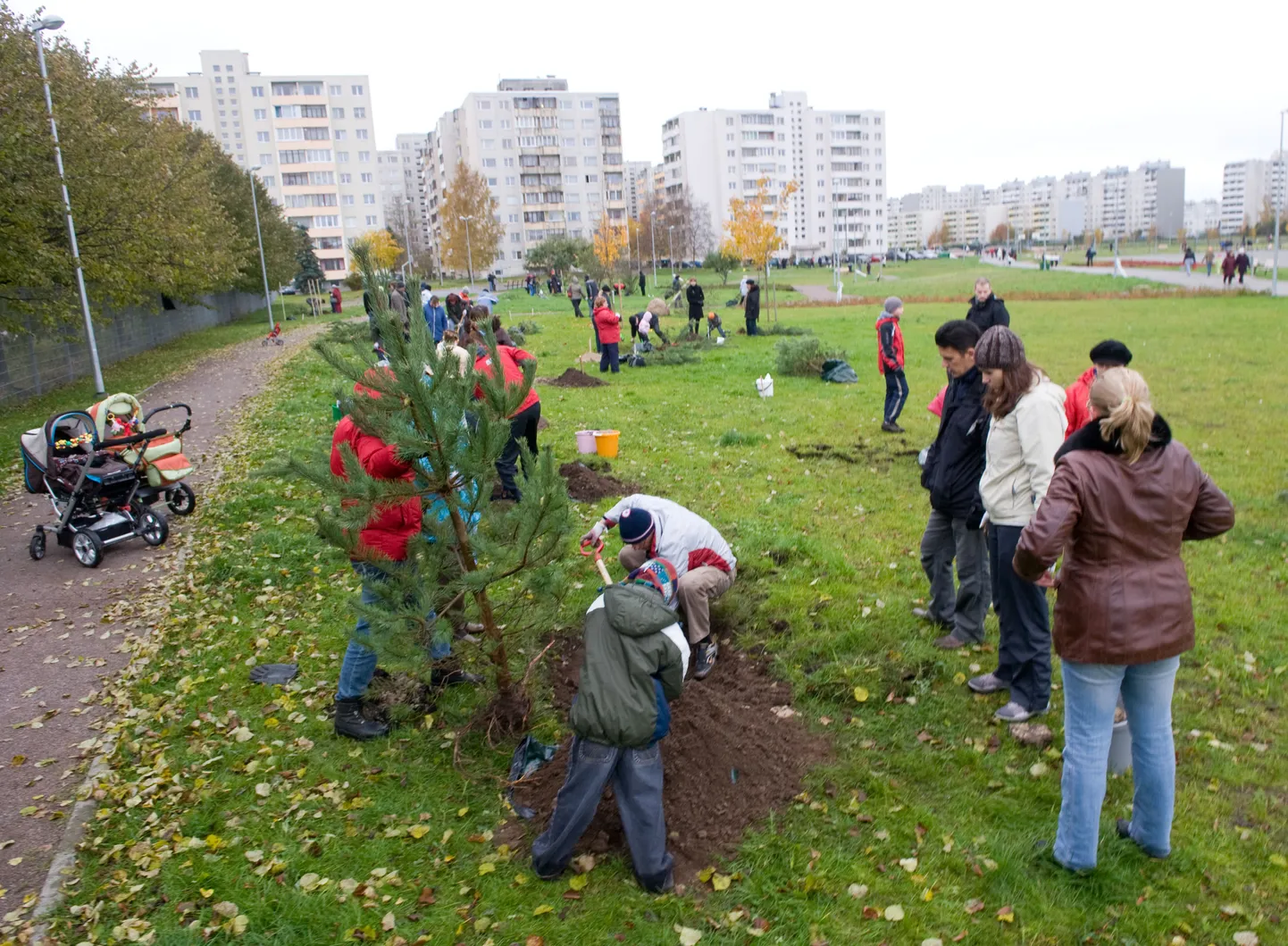 Eelmisel pähapäeval istutasid eestlased ja venelased Lasnamäel ühiselt mände.