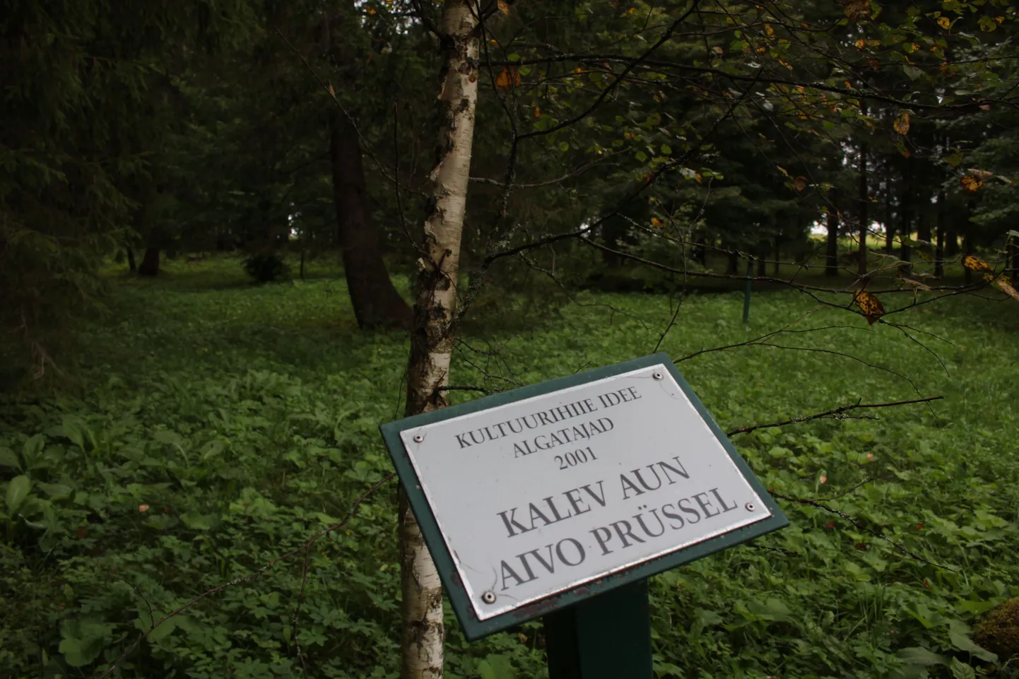 Järvamaa kultuurihiis 25