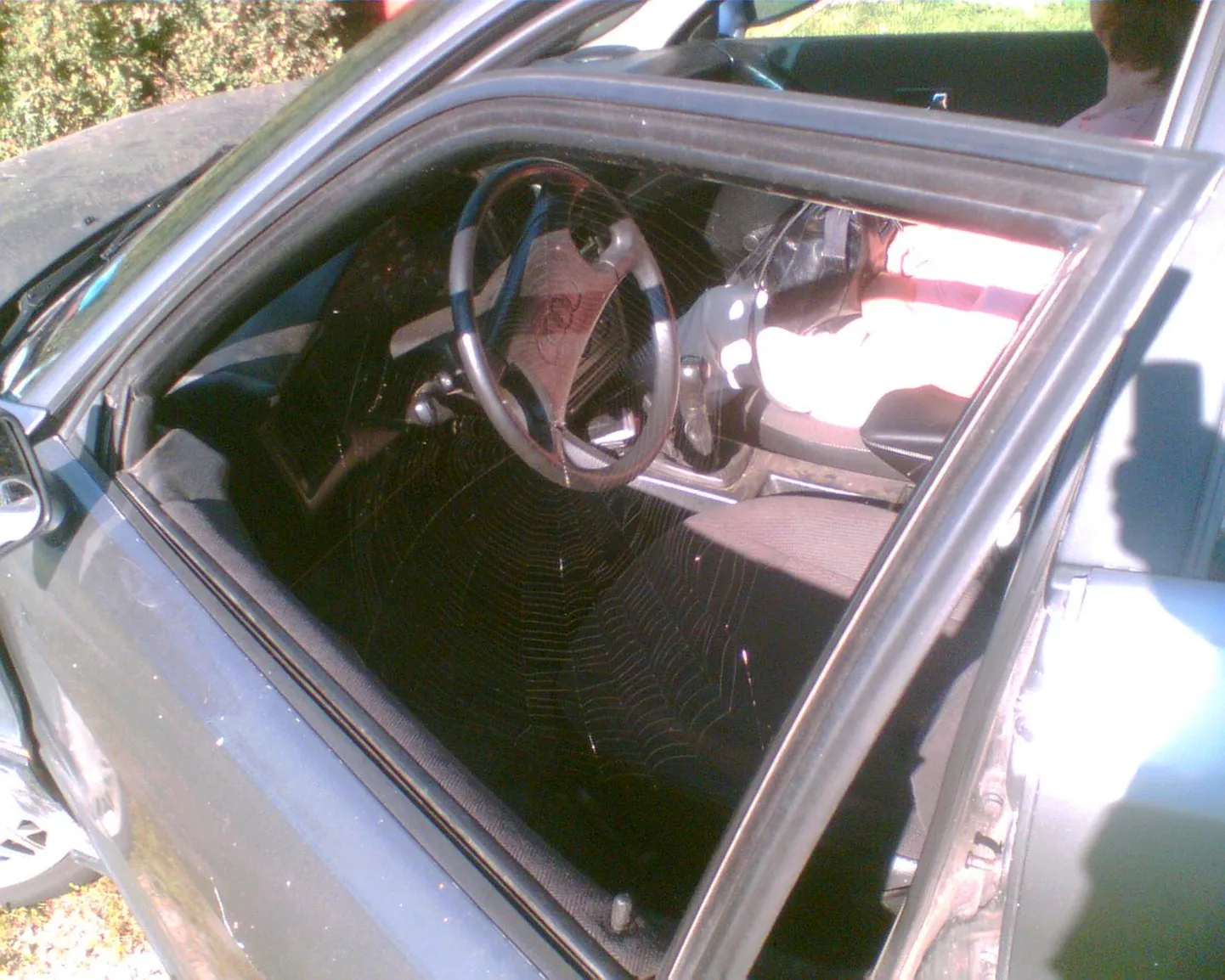 Minu eimene auto  Audi 80 B4 1985 maksis u 10 000 krooni. Pildi kohta nii palju, et kuumal suvepäeval koju sõites oli juhiaken lahi ja jäi seda kogu ööks. Murelik ämblik, kes elas mu auto peeglis, valmistas hommikuks mulle kadunuks jäänud klaasi asemele mis suutis! Tore kui keegi sinu eest muretseb!
