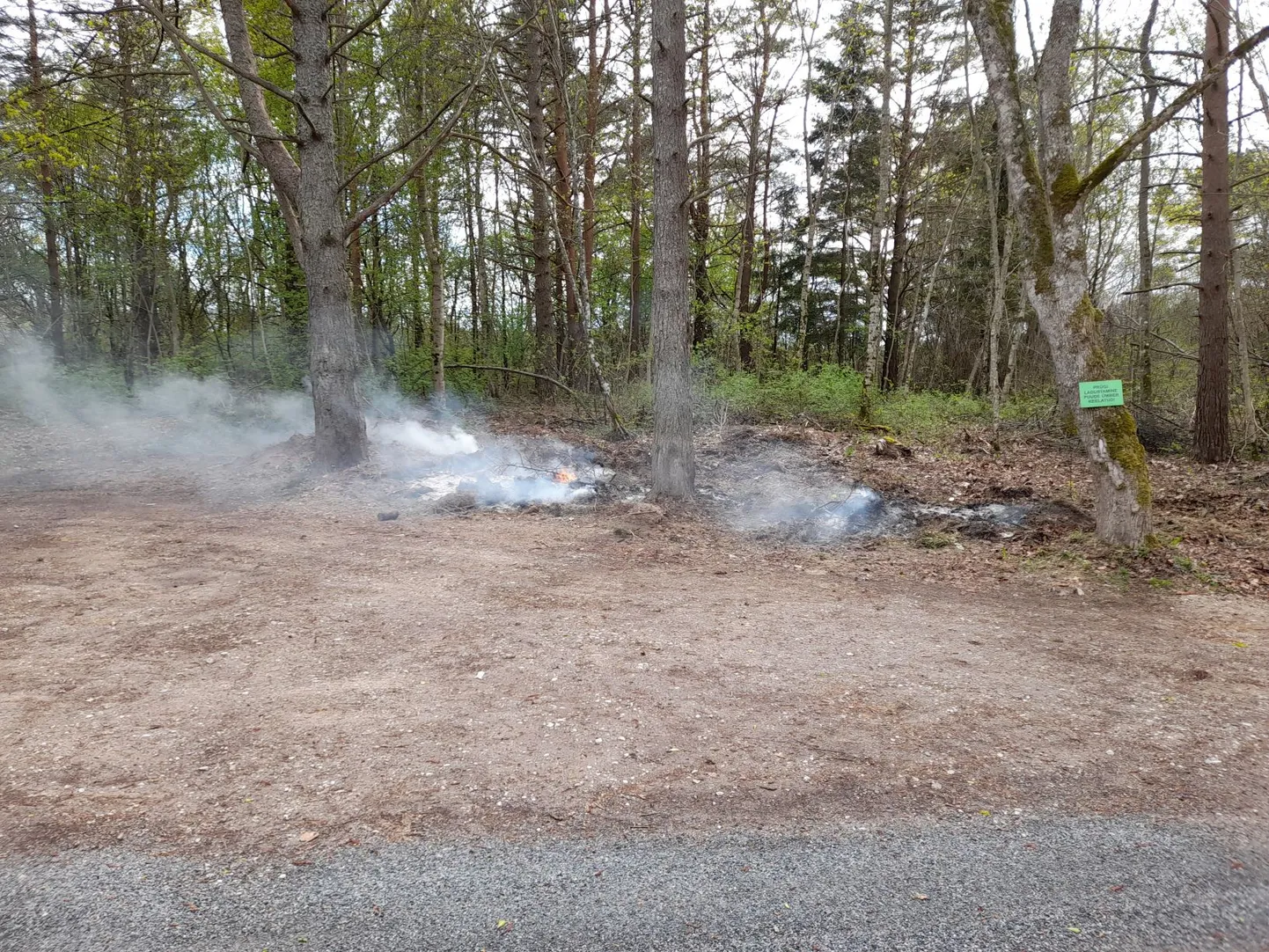 Põleng Saia kalmistul