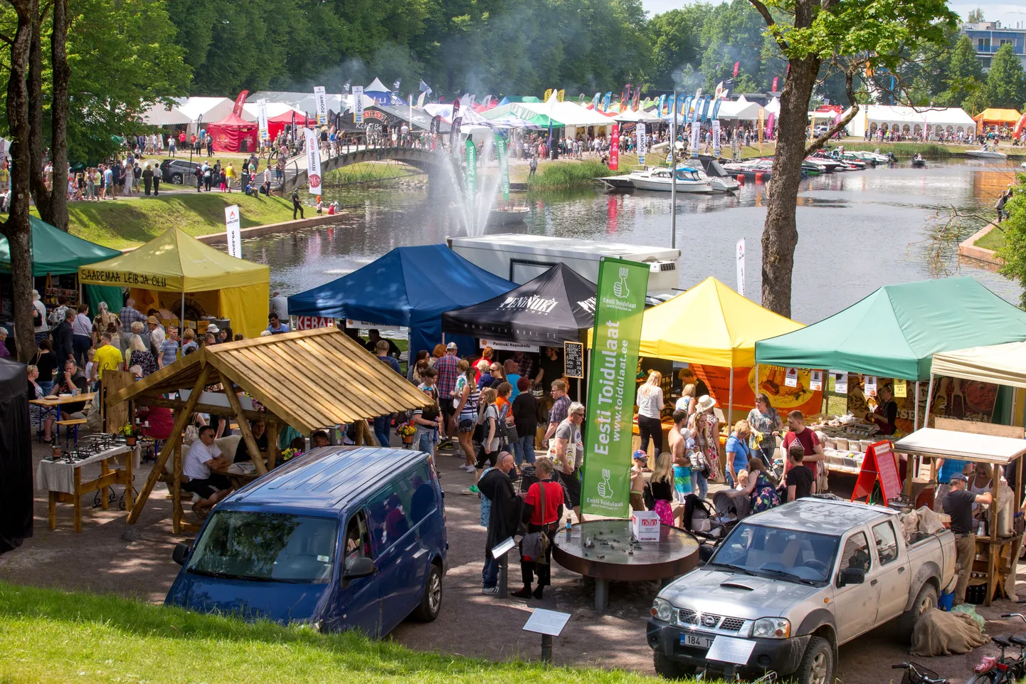 Grillfest 2017. Pilt on illustreeriv.