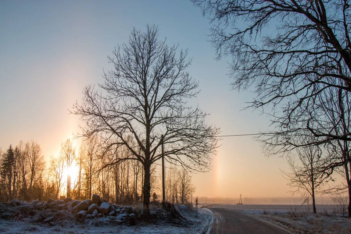 Värvidemäng tänavu jaanuaris Viljandimaal.