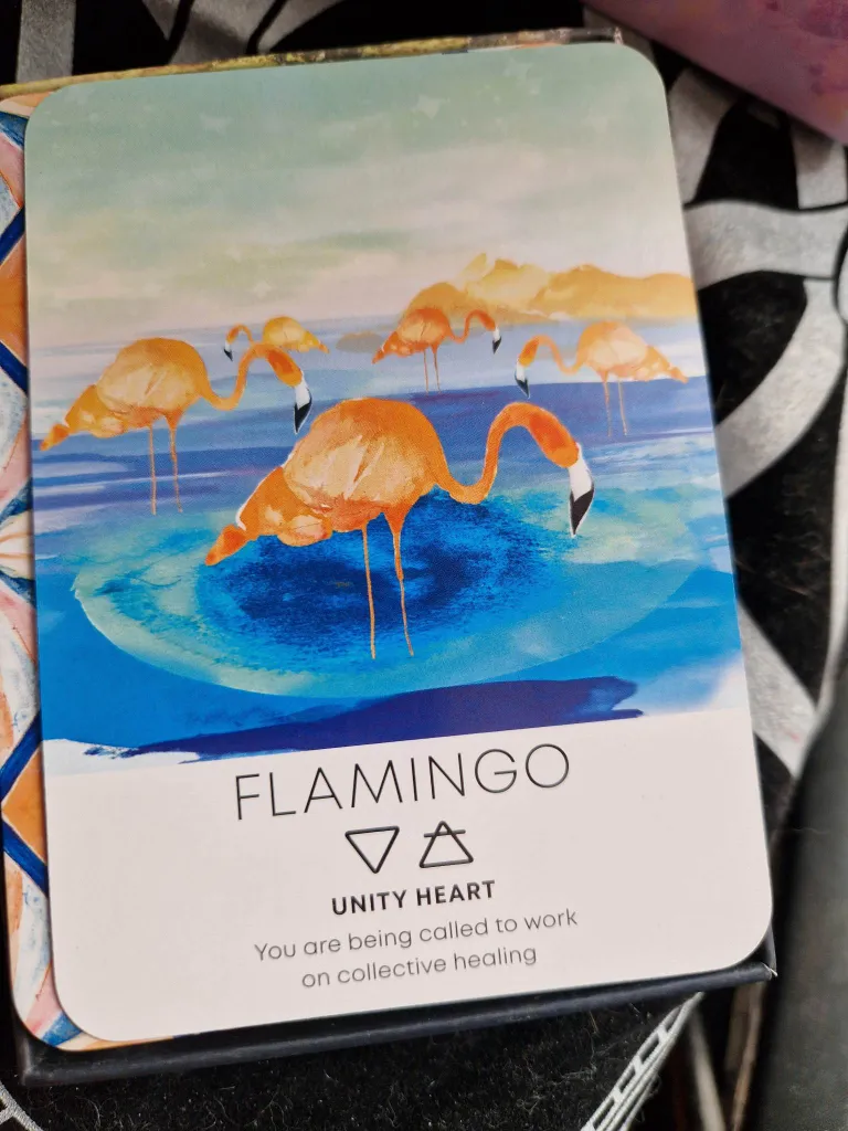 Oraaklikaart Flamingo rõhutab ühtsusteadvust ja ütleb, et on aeg töötada kollektiivse tervenemise nimel.