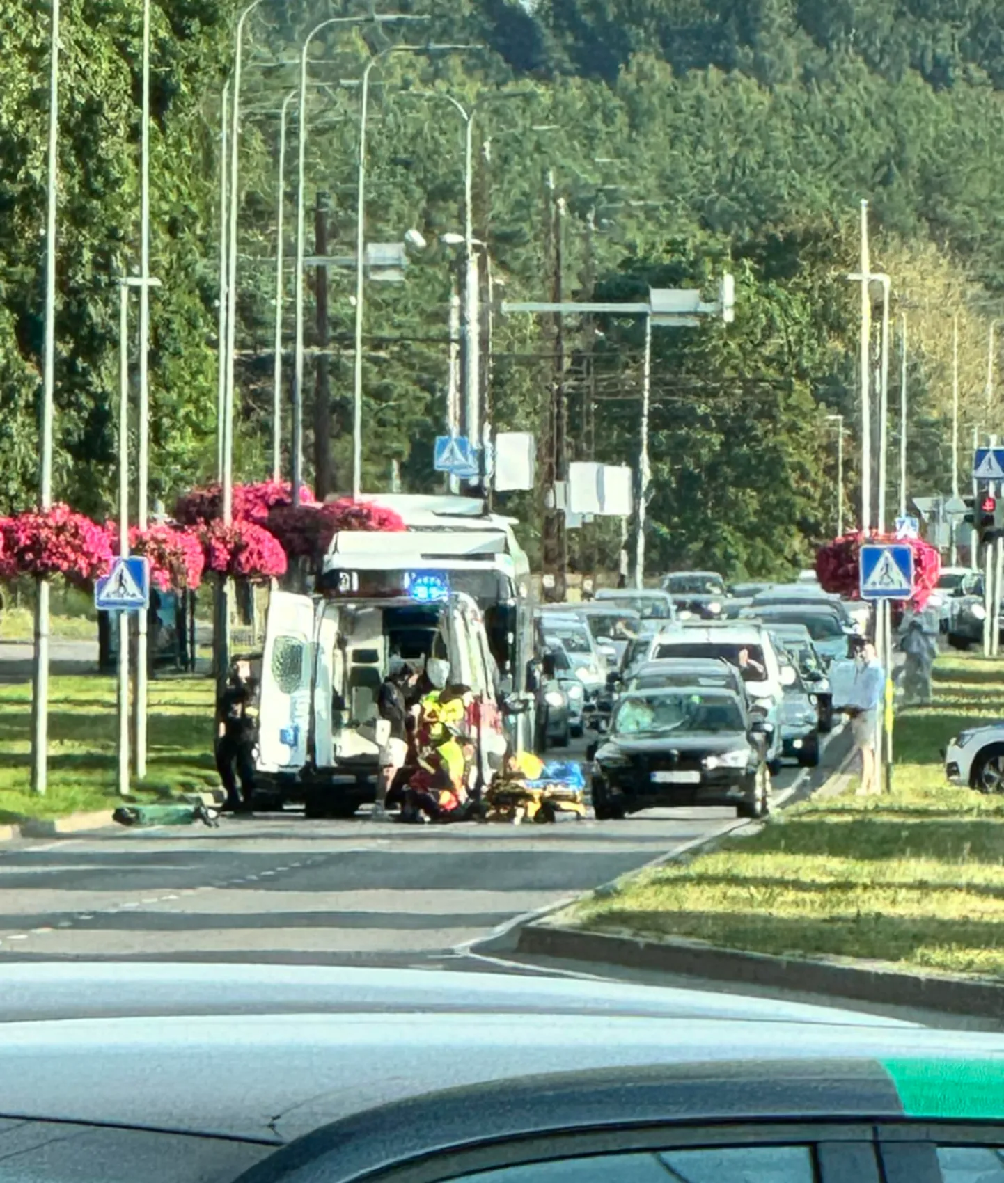 Artikli foto