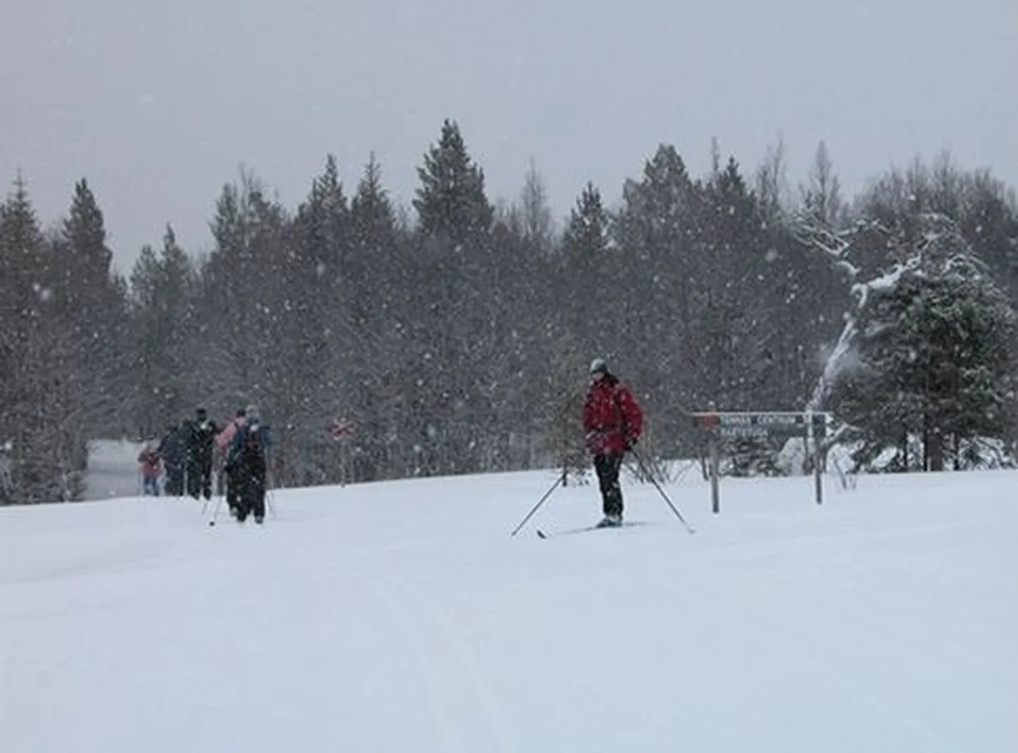 Rootsi poiss äratas karu talveunest