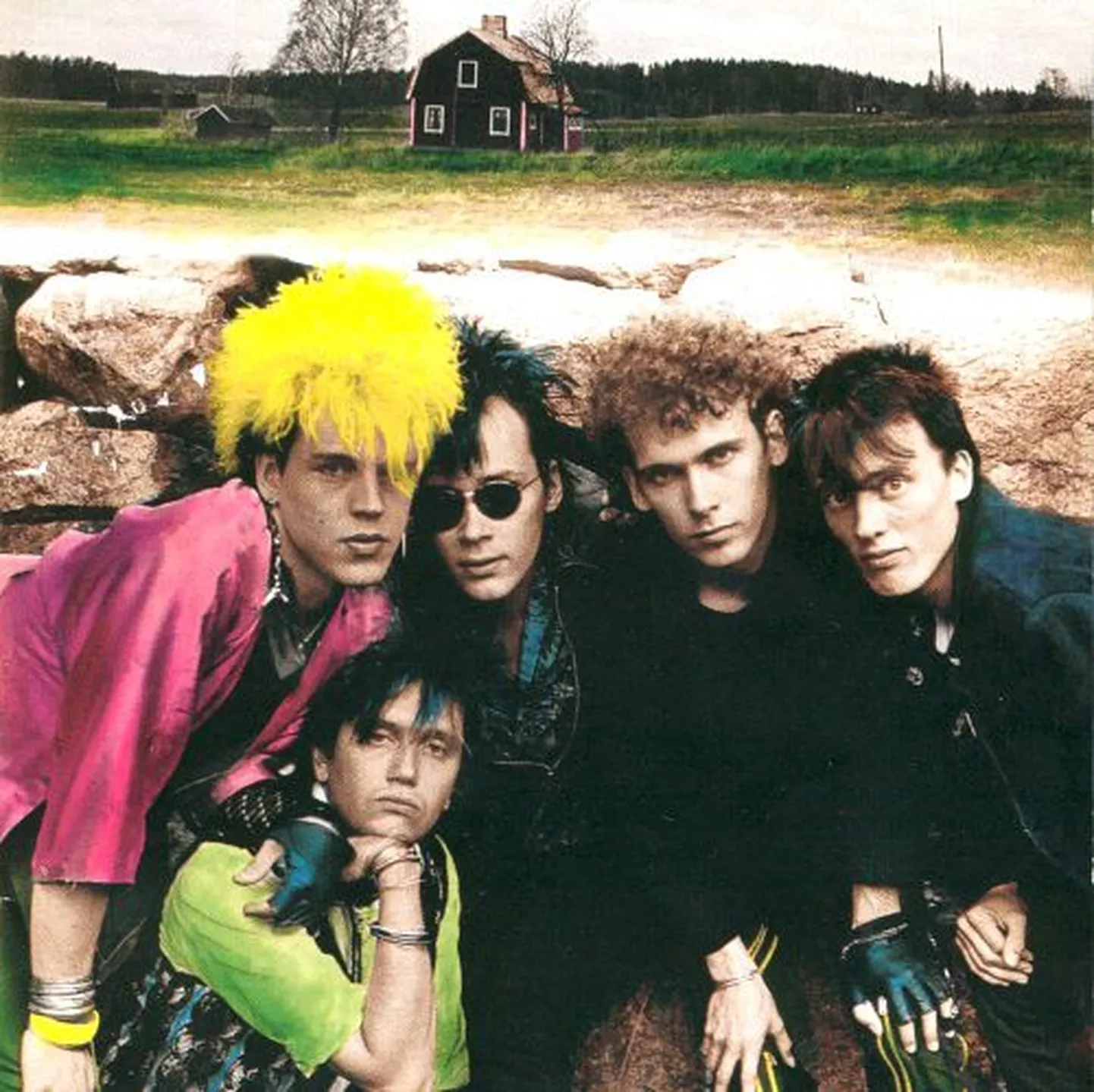 Dingo aastal 1984
