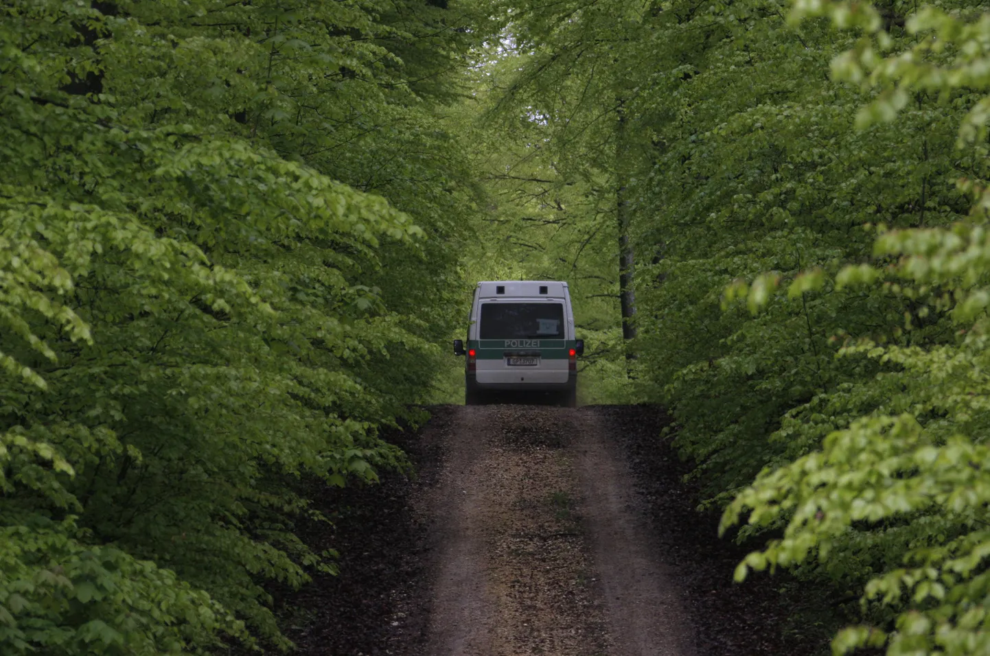 Saksa politseiauto metsas.