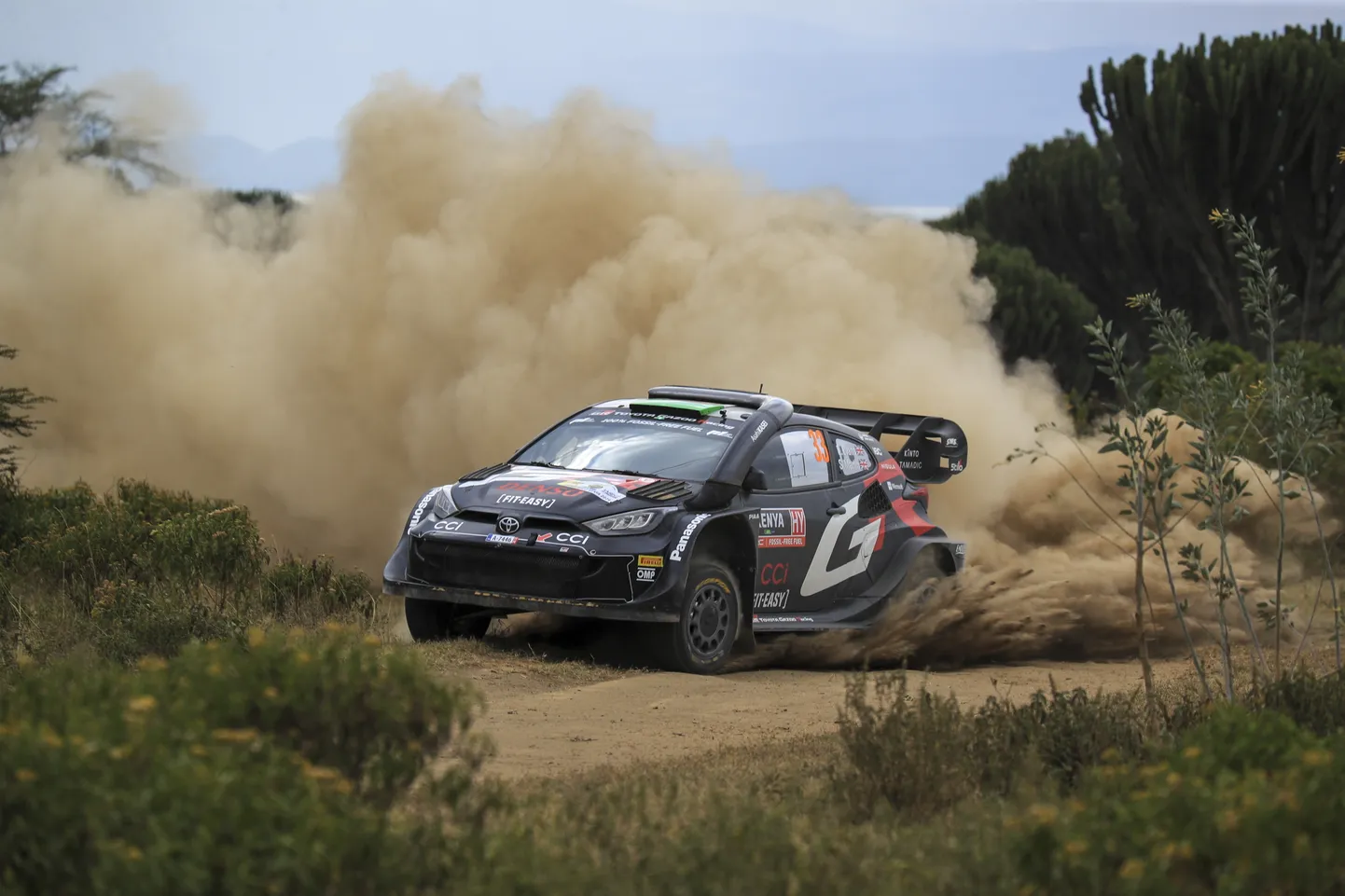 Elfyn Evans