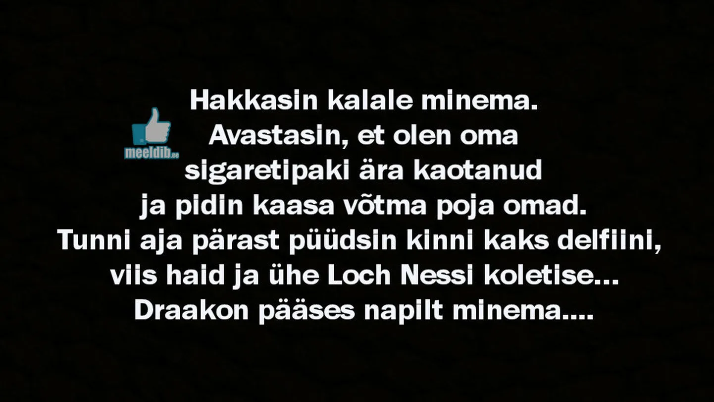 Artikli foto