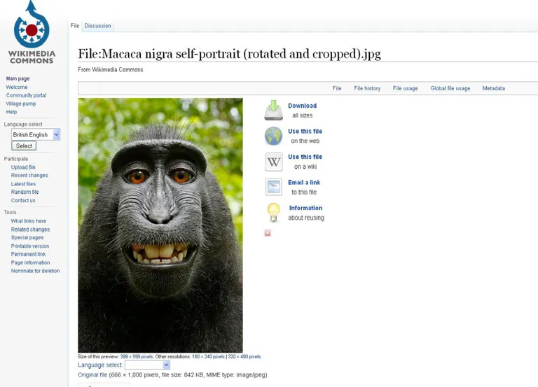 Makaagiselfi Wikipedias